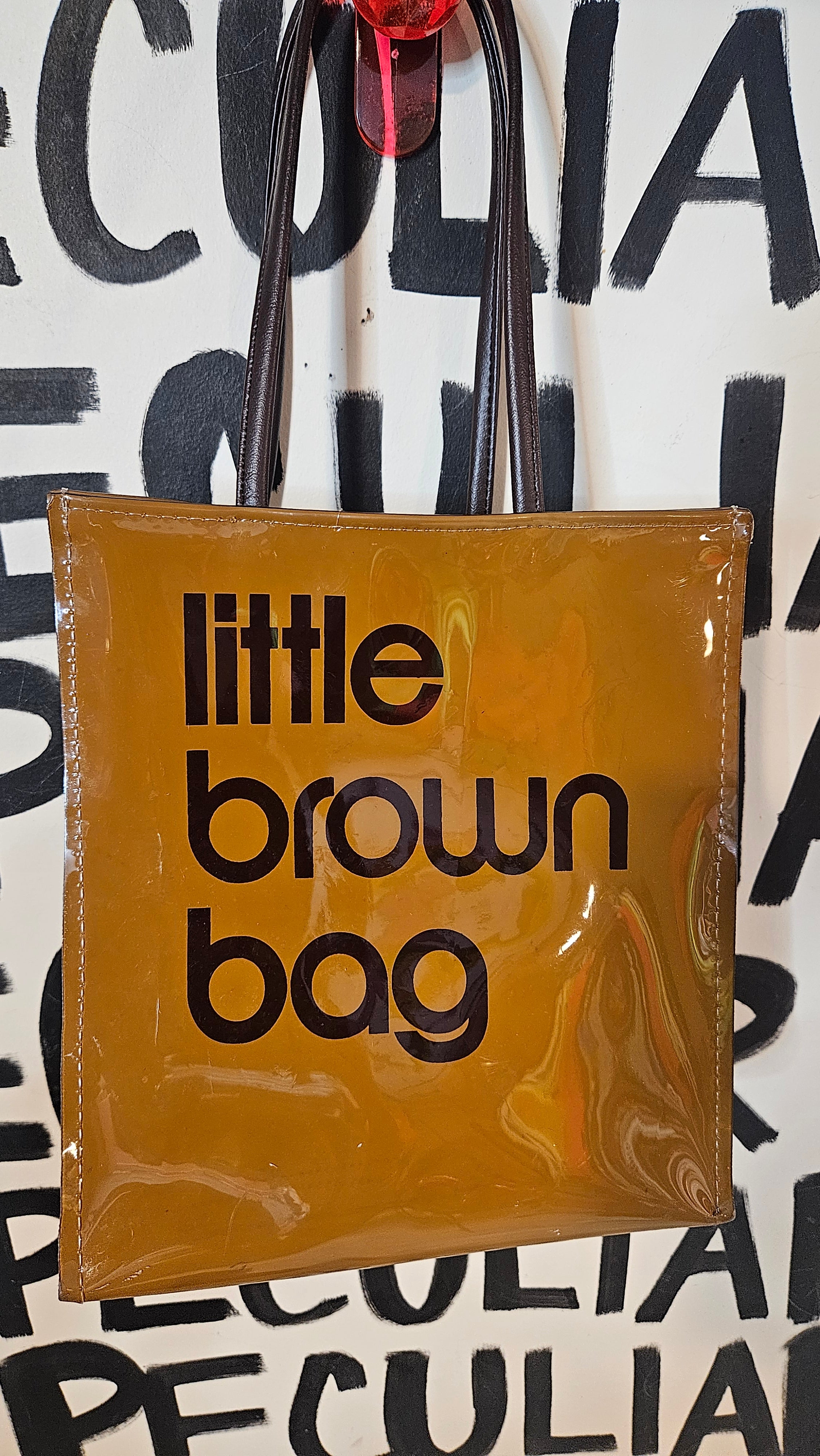 Little Brown Bag